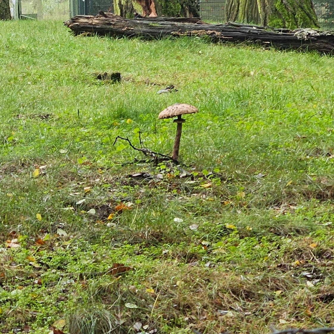 Alexander Hüsing tweet media