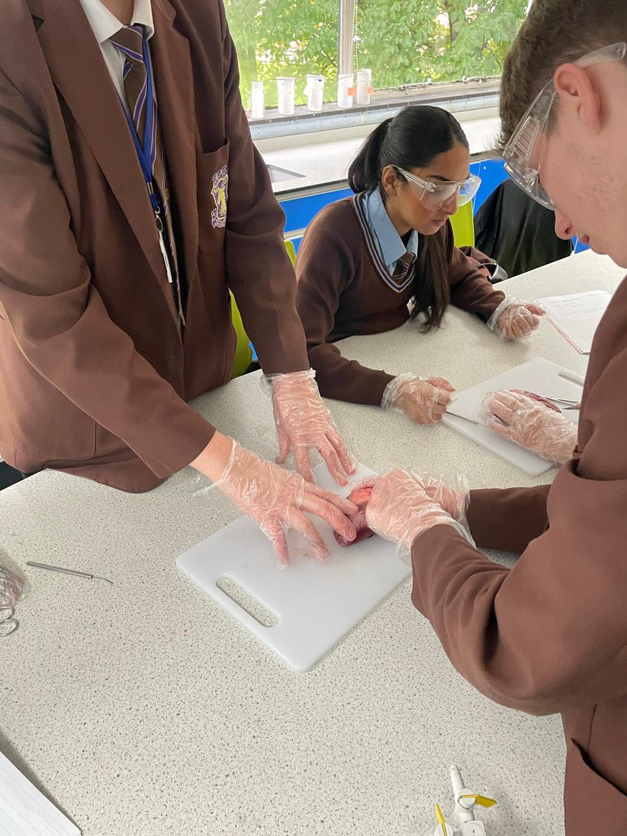 tsc_science's tweet image. It’s been a busy day in Science today…first up…10K4 with Miss Ward carrying out some heart dissections timed perfectly in prep for the festive season…❤️🎃❤️