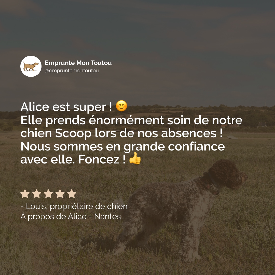 Laissez-vous inspirer par l'histoire de Louis qui a choisi notre plateforme pour faire garder Scoop 🥰

Rejoignez l'aventure et partagez des moments avec des toutous comme Scoop 🐾

Rejoignez-nous : 👉 empruntemontoutou.com

#empruntemontoutou