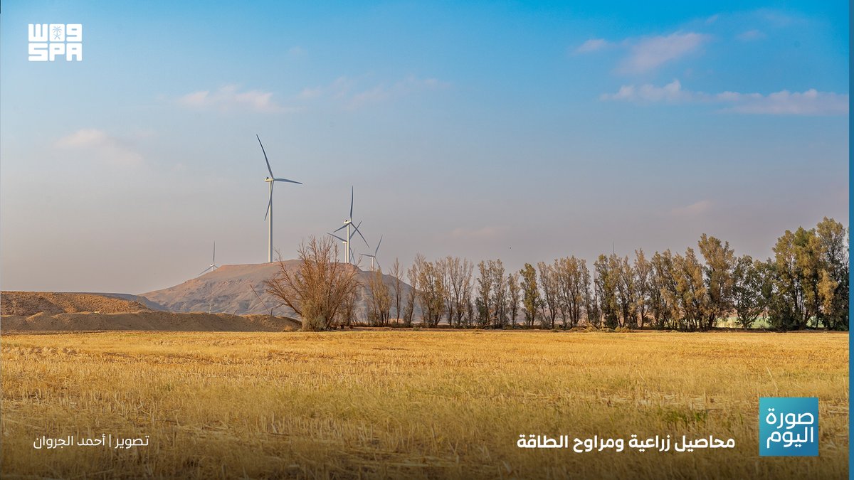 #صورة_اليوم_واس 

#واس_جودة_الحياة