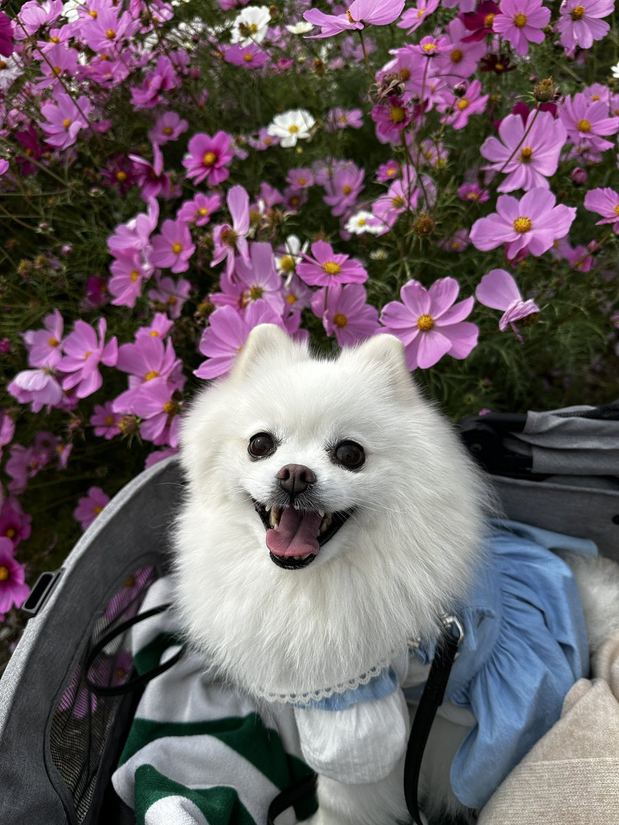 가을이 왔다가 가고이써오