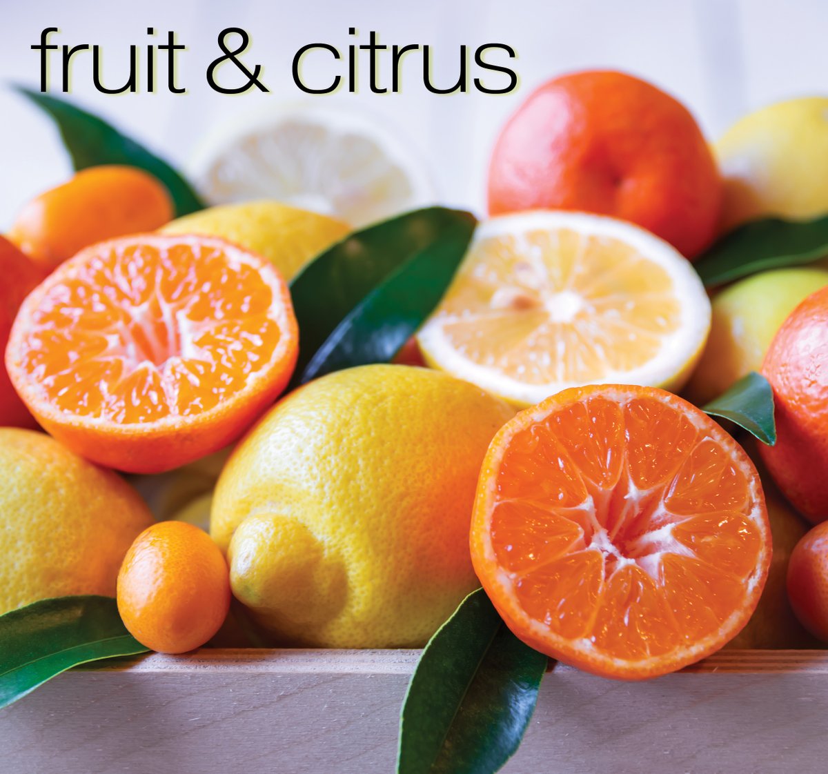 abeleiflavors's tweet photo. Cocktail Trends: 2 of 5

FRUIT AND CITRUS

Refreshing and fruity flavors such as watermelon, pineapple, lemon, lime, grapefruit, strawberry, blackberry, raspberry, and tropical fruits like mango and passionfruit are popular. These flavors add a vibrant and tangy twist cocktails. https://t.co/SlmlTiqlO6