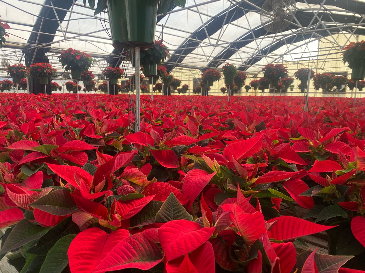 Jackson Hospital tweet media