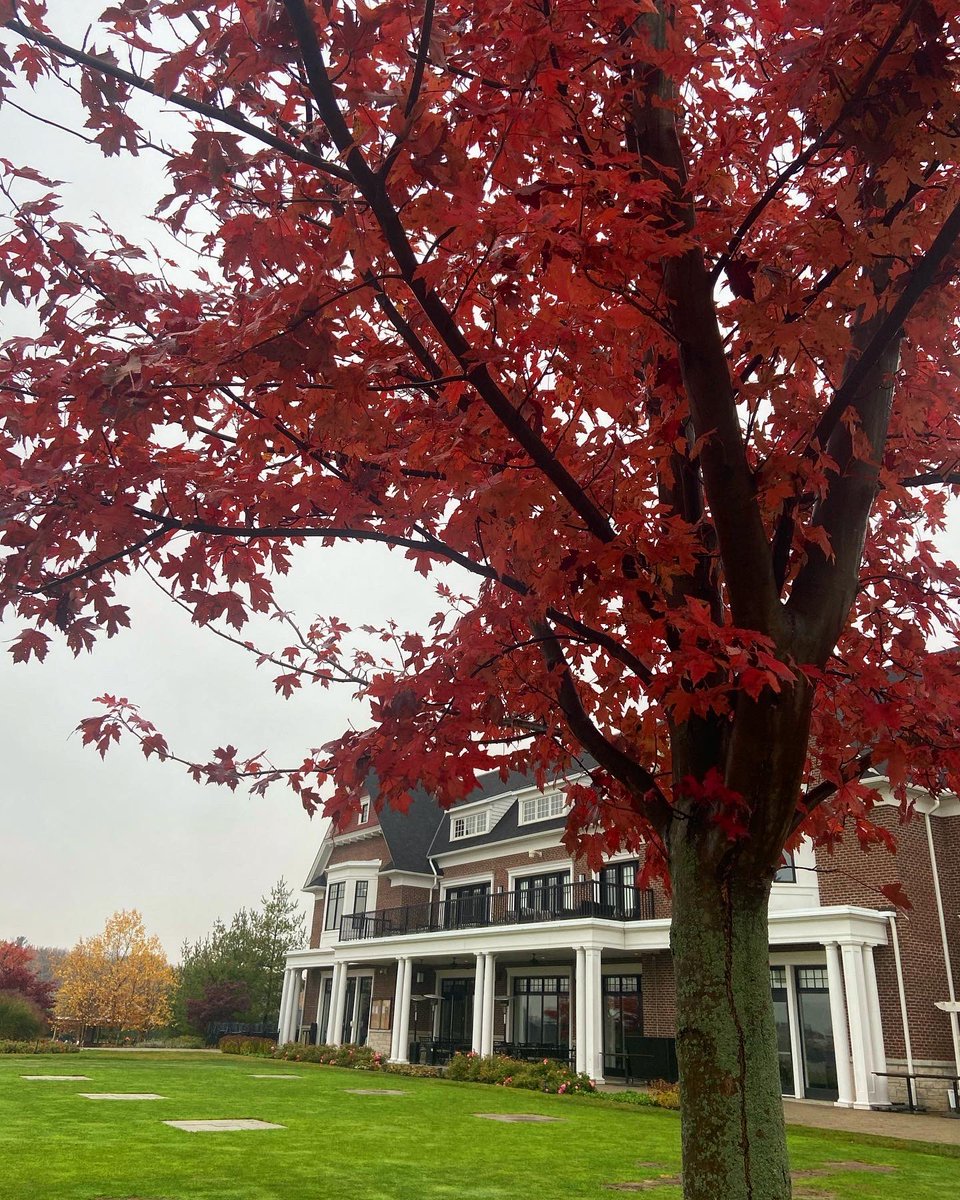 Cedar Brae Golf Club tweet media