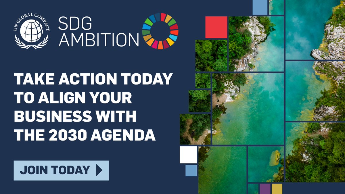 Through the @globalcompact SDG Ambition programme, companies are recognising the urgency of accelerating action on the #GlobalGoals. Join the SDG Ambition Accelerator, starting in January 2024: bit.ly/46G4EK4