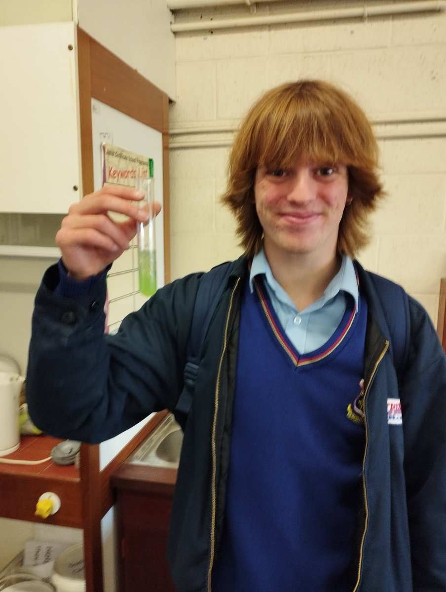 KevDelahuntyBio's tweet photo. 6th year biology student Cathal successfully extracting DNA from a kiwi @stjosephsrush 🧬🧪 https://t.co/TKJgcRF44o