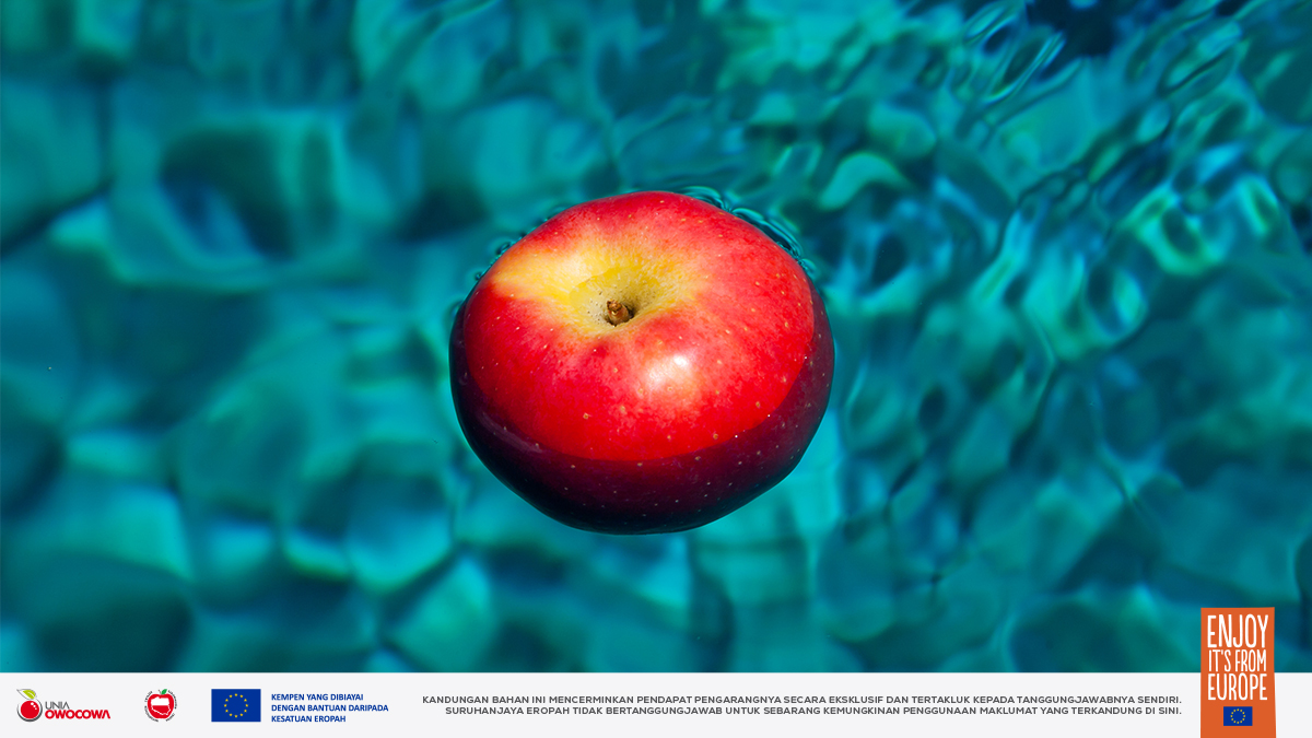 Apples4M's tweet photo. Adakah anda tahu mengapa epal terapung? Lagipun, ianya agak berat. Boleh anda bayangkan ?
Kami mengalu-alukan cadangan anda dan akan memberikan penjelasan dalam siaran seterusnya. Mungkin kami akan menemui cara baharu untuk mengangkut epal melalui laut dalam jarak jauh tanpa bekas dan kapal J?
