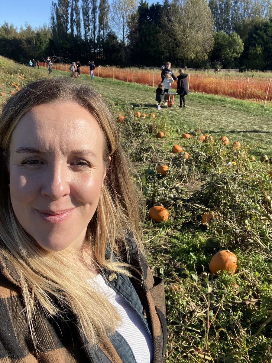 _sarahmc_'s tweet photo. @MrCeeY6 Oh no! That’s such a poor version of pumpkin picking - need ti find a place where they grow them! https://t.co/tkjxycby9O