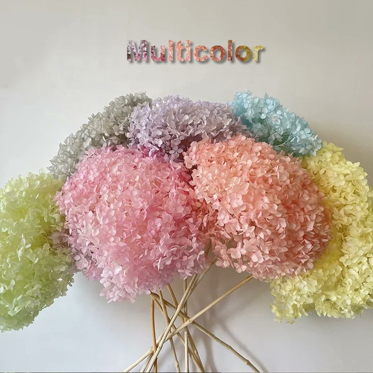 YuQigift's tweet photo. High Quality Preserved Hydrangeas Silk Flowers Home Decor Flower Artificial Hydrangea Flower

https://t.co/ro1KFwXI6X

#homedecor #everlastingflowers #everlastinghydrangea #artificialhydrangeas https://t.co/piVrr6gVpi