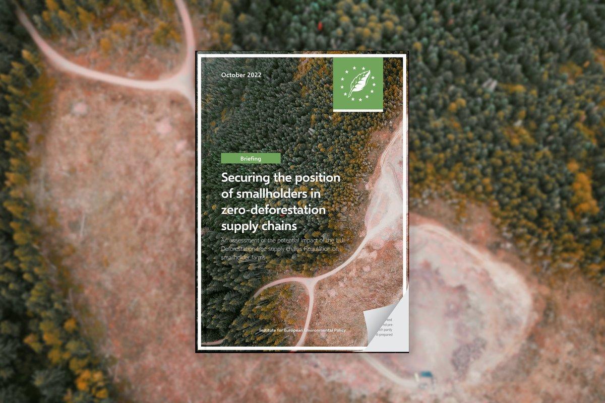 IEEP_eu's tweet photo. @eaGreenEU @LIFETerraEurope A1.3 Nonetheless, the EUDR’s social implications may impact smallholders disproportionately, risking #marginalisation and #MarketFragmentation. Read more 👉 https://t.co/YtCcCBWFpd
#EAGREENEU #eaDebates https://t.co/Sgr97zroxH