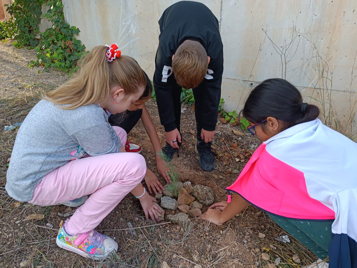 CEIP Vega del Segura Ribera de Molina tweet media