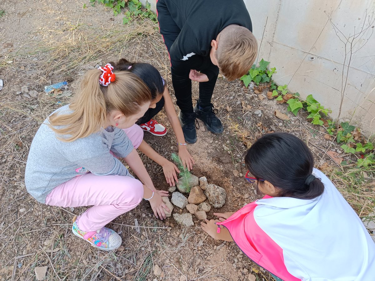 CEIP Vega del Segura Ribera de Molina tweet media