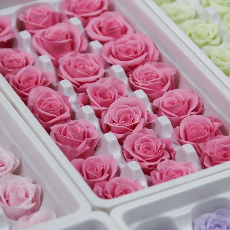 YuQigift's tweet photo. Custom Wedding Home Decoration Rose Flowers A Grade Eternal Flowers Preserved Rose Flower

https://t.co/3mZDINYueC

#weddingdecorations #rose #perpetualflowers #perpetualrosedecorations https://t.co/ZJHhFYwMjv