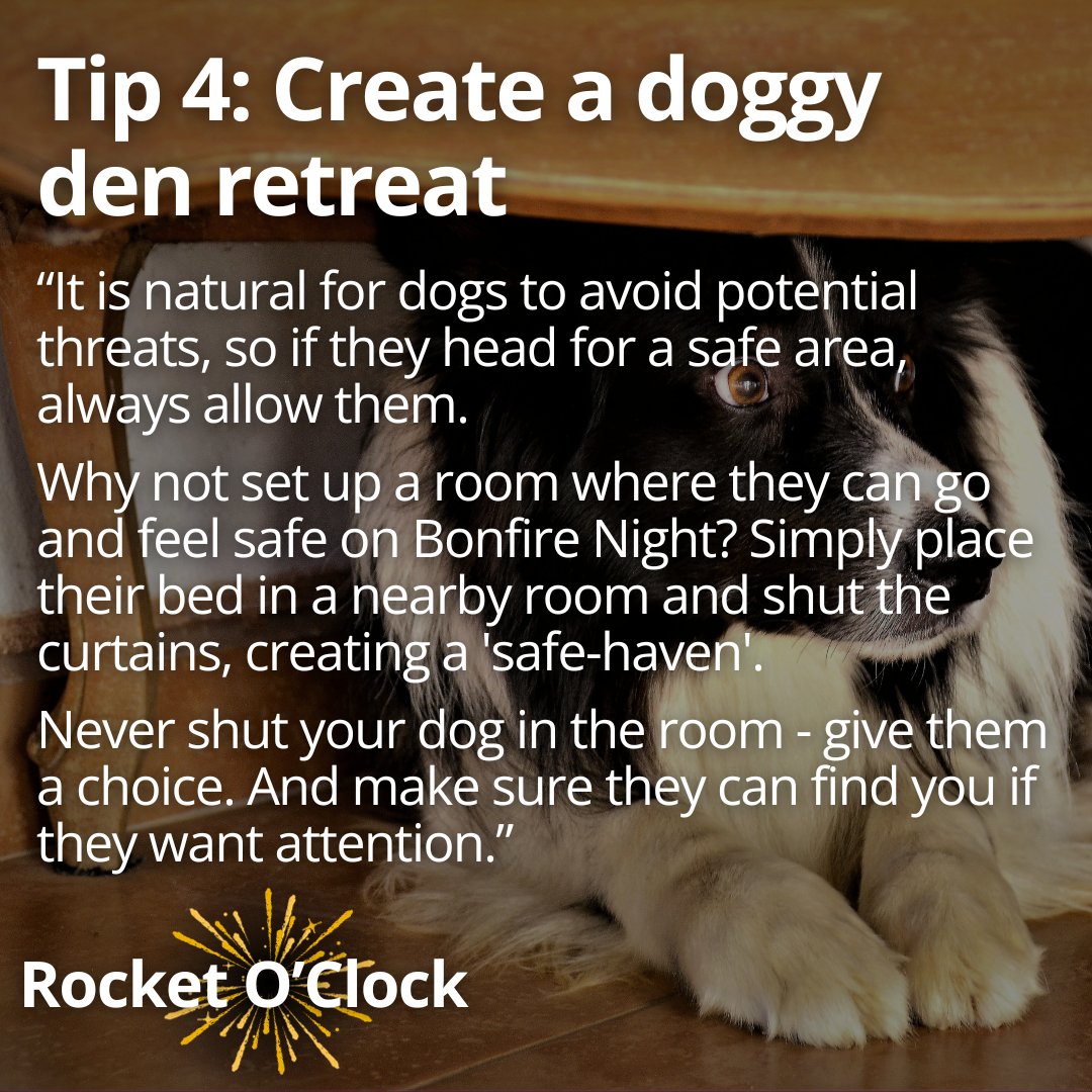 ChelmsCouncil's tweet photo. πΆ Preparing for Firework Night with nervous doggies πΆ
There's just one week to go until Guy Fawkes Night, and Tony Cruse, of #TcDogTraining, is sharing his top tips for owners to help their nervous dogs cope with fireworks!
#RocketOClock #fireworksanddogs #nervousdogs https://t.co/N5kY7uNxEK