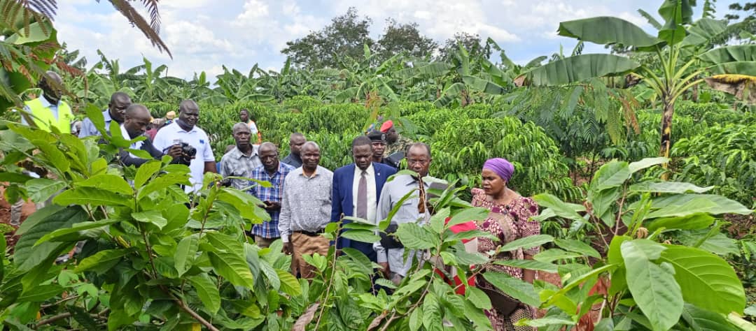 UgandaCoffee_'s tweet photo. Today, we are celebrating Busoga Cocoa Field Day in Mayuge with Rt. Hon 3rd Deputy Prime Minister @Rukianakadama as Chief Guest accompanied by Hon. @FredBwino. UCDA is showcasing the opportunities in the cocoa value chain &amp; how farmers can earn by investing in cocoa production. https://t.co/n4Jip6nTMP
