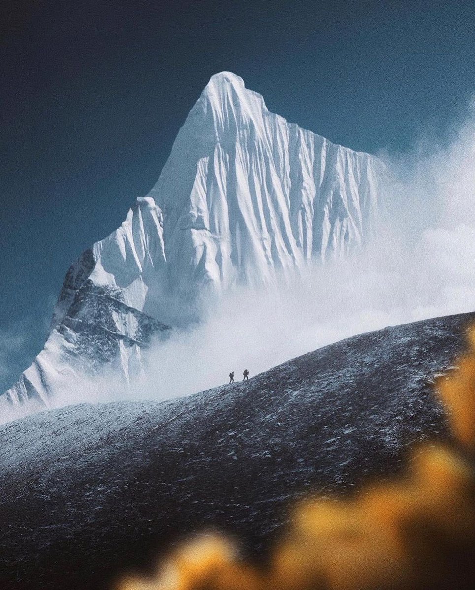 TheVacationator tweet picture