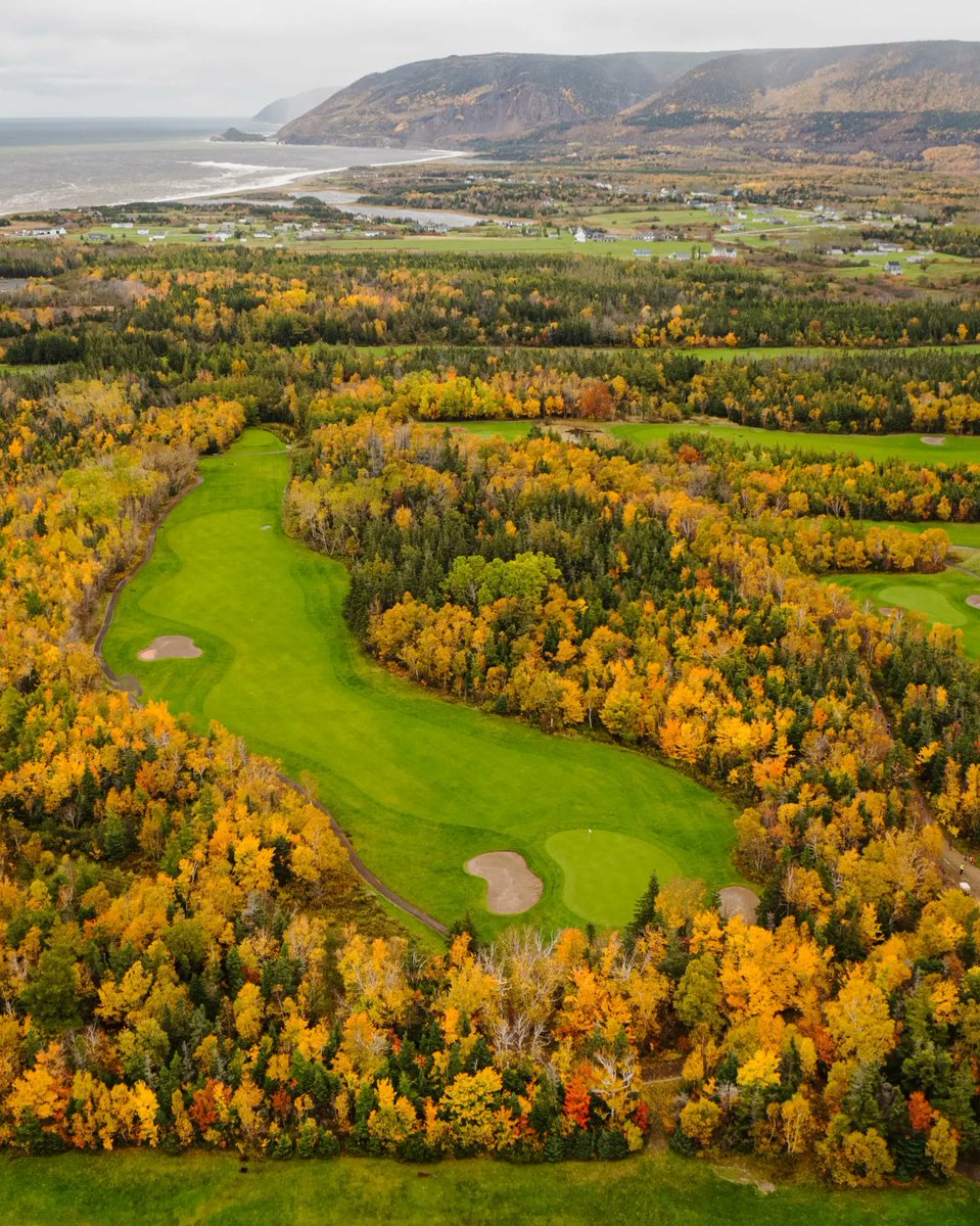 BoydCo Golf & Turf LTD tweet media