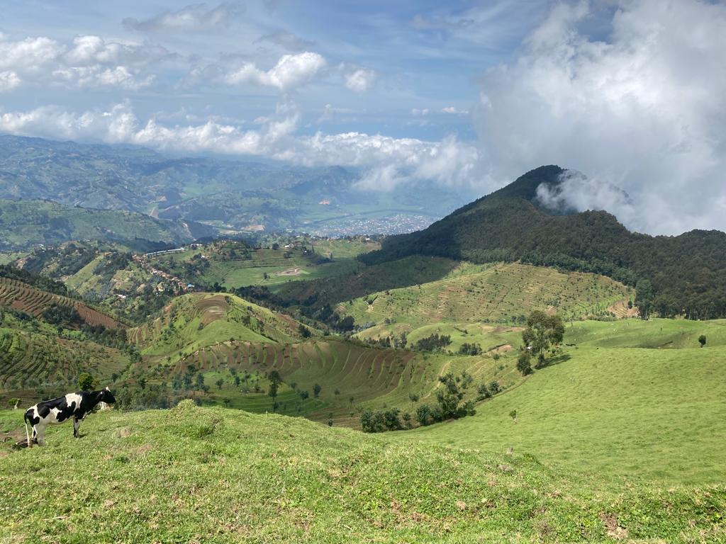 Rubavu District tweet media