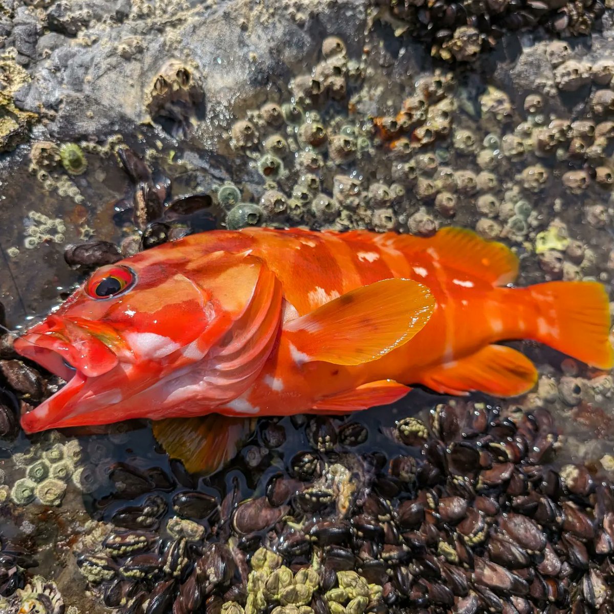 山崎 正人 tweet media