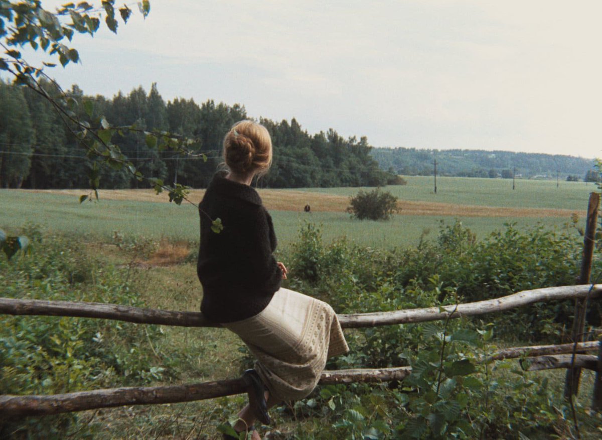 анна жижа tweet media