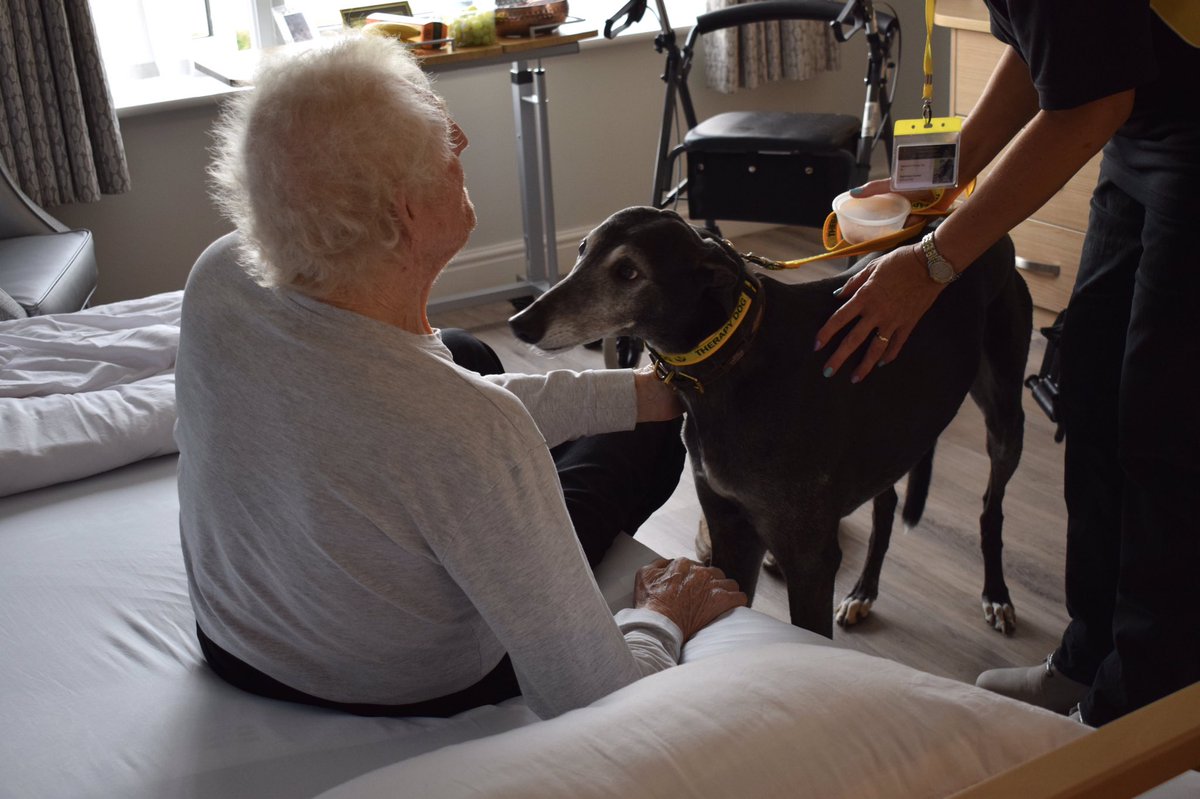Oakham Grange residents with Oz, our lovely therapy dog…. FYI we have a policy of not showing residents faces on social media sites, so I’m sorry you are missing out on all the smiles Oz creates when he visits 🥰
#CareHomeActivities #rutland #therapydog