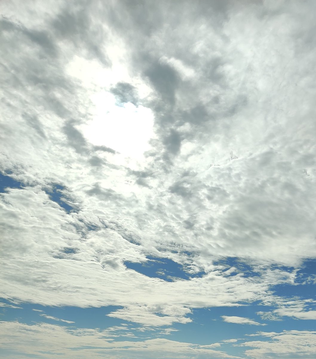 Busted Ride Daily Vanity Plate Ideas tweet media