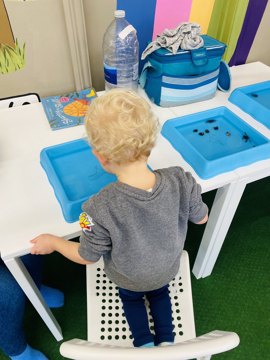 Rockpoolschool1's tweet image. Sweet little morning at Little Morpeth 😊. Thank you for having us 🦀 🌈 

Lush to see grandparents and their grandchildren getting hands on together 🥰.

#roleplay #toddleractivities #handsonlearning #conservationthrougheducation