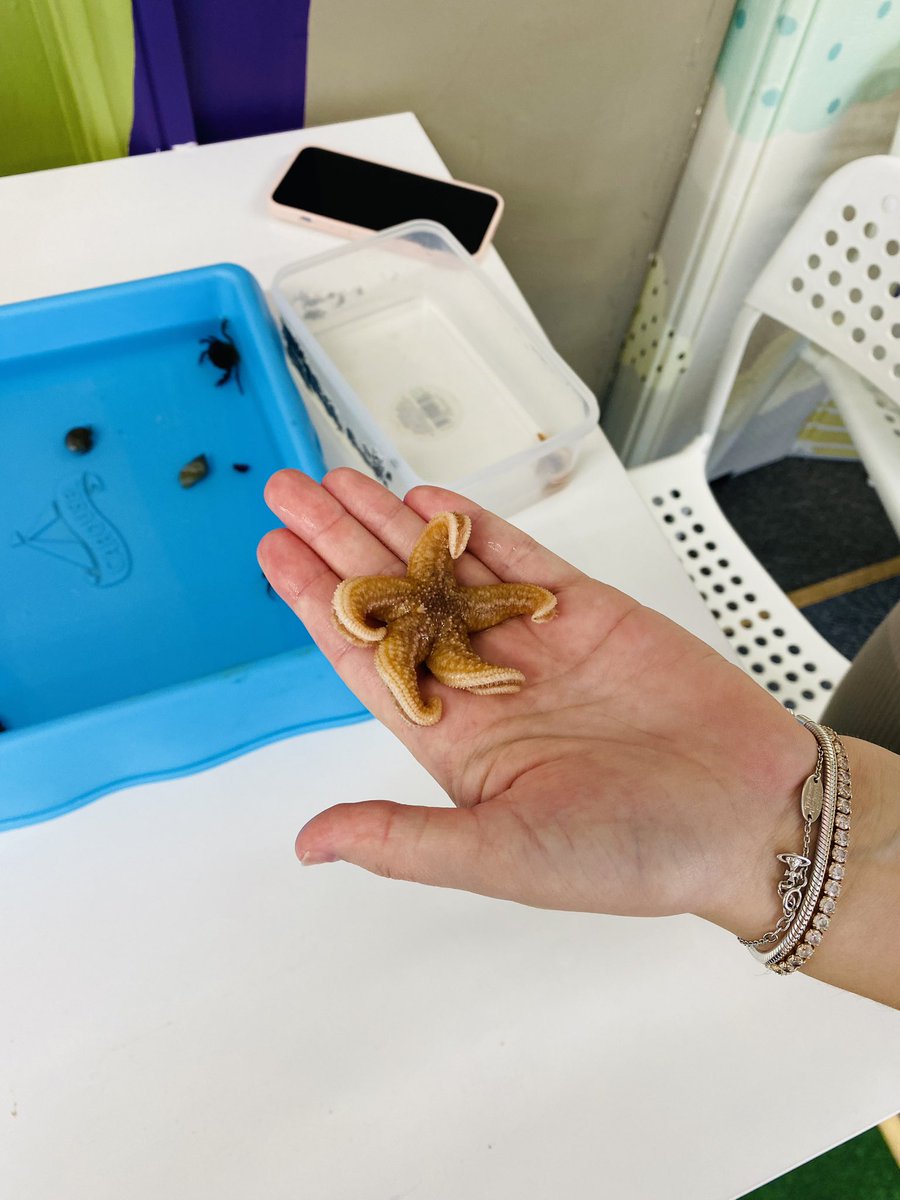 Rockpoolschool1's tweet image. Sweet little morning at Little Morpeth 😊. Thank you for having us 🦀 🌈 

Lush to see grandparents and their grandchildren getting hands on together 🥰.

#roleplay #toddleractivities #handsonlearning #conservationthrougheducation