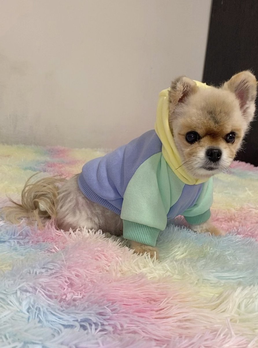 Карочи еще одно доказательство что я пиздат а голые макаки идут нахуй

На др я получил из интернетов больше голды чем та тупая пизда которая у меня живет

Волчара пауэр нахуй