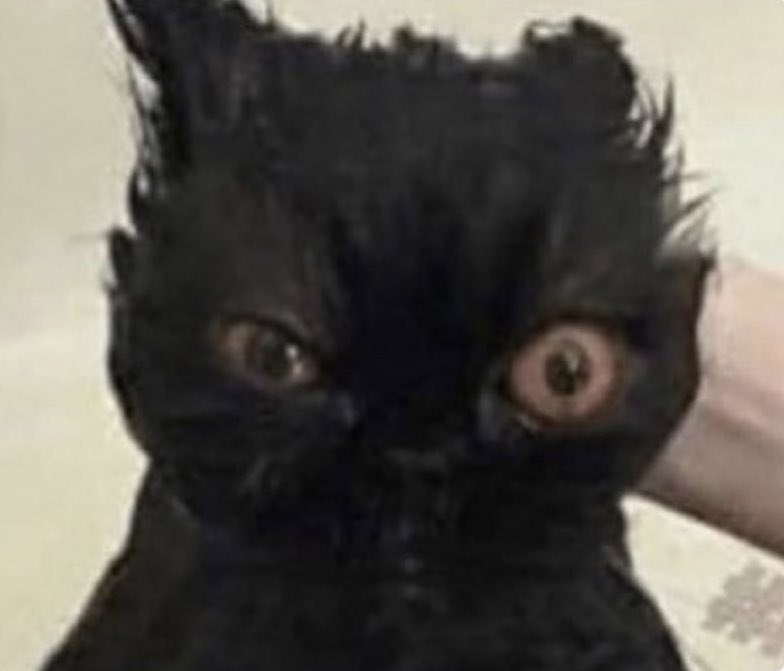 "no te preocupes si yo manejo bien el estrés jeje"

yo con estrés: