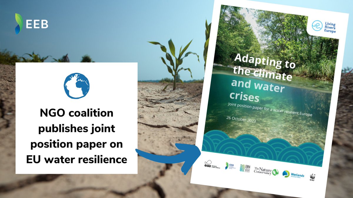 Green_Europe's tweet image. 📢A new NGO paper for a Water Resilient Europe calls for:

💠Fully enforced #EUGreenDeal
💠NEW water and climate resilience law
💠Fully enforced #WaterFrameworkDirective
💠Climate proofing of all 🇪🇺 rules
💠End to harmful subsidies

Paper 👉 eeb.org/library/joint-…
#RestoreNature