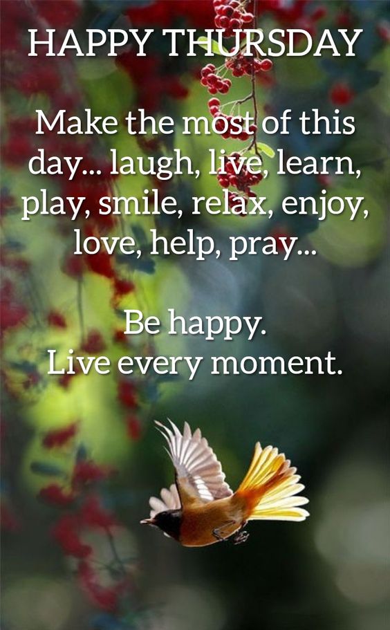 nanahendrix66's tweet photo. Good morning, all you wonderful Patriot darlings!  Let's do different today, say prayers, and be thankful for another beautiful day! Then do something good for someone.hug a friend, tell them I love you ! Little things mean a lot.take a break from all the bad news &amp; have some fun https://t.co/W8YRmD69ya