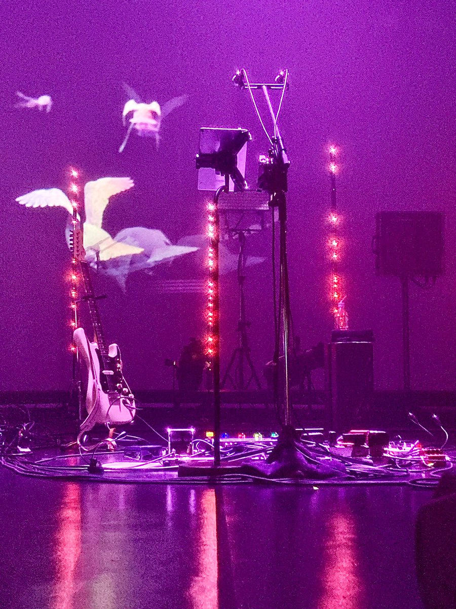 【Cornelius 夢中夢 Tour 2023】
zepp Yokohamaから2回目の
zepp Nagoya はこちらの砂かぶりシートで一生分の運を使い果たした事を報告しておきますね！