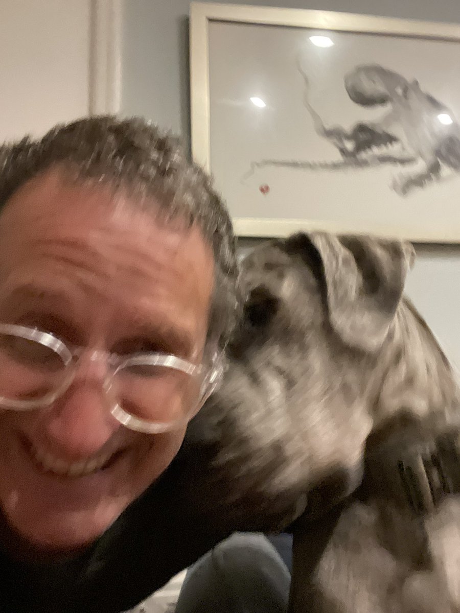 Josh Dubnau 🇵🇸 (@joshdubnau) on Twitter photo <a href="/EncaladaLab/">Sandra Encalada Lab</a> had a great visit to Scripps. It was great to see some old friends and make some new ones. Thanks Sandra for being such an amazing host!
Although it was a fantastic trip, Enzo was pleased to have me home. <a href="/EncaladaLab/">Sandra Encalada Lab</a> had a great visit to Scripps. It was great to see some old friends and make some new ones. Thanks Sandra for being such an amazing host!
Although it was a fantastic trip, Enzo was pleased to have me home.