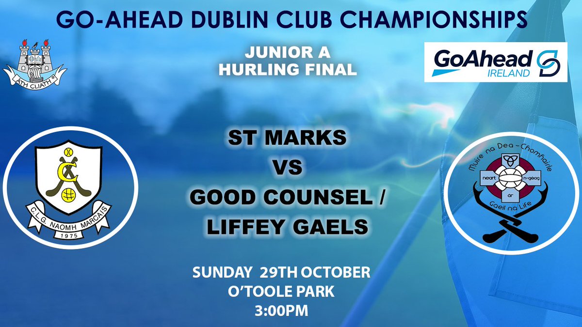 Dublin GAA tweet media
