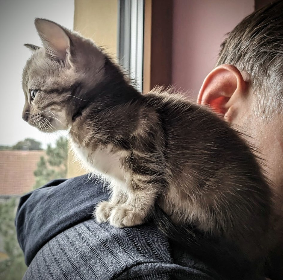 RunDuckling's tweet image. 