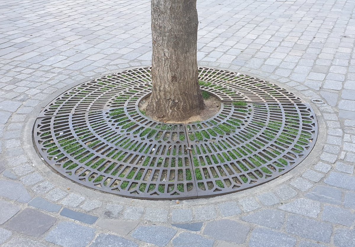 AuLoupChic's tweet photo. Avant / Après / Maintenant
Mme la maire @EPierreMarie,  en tant qu'élue écologiste, il faudrait peut-être donner des explications aux Parisiens ? https://t.co/6oIGgogIxR