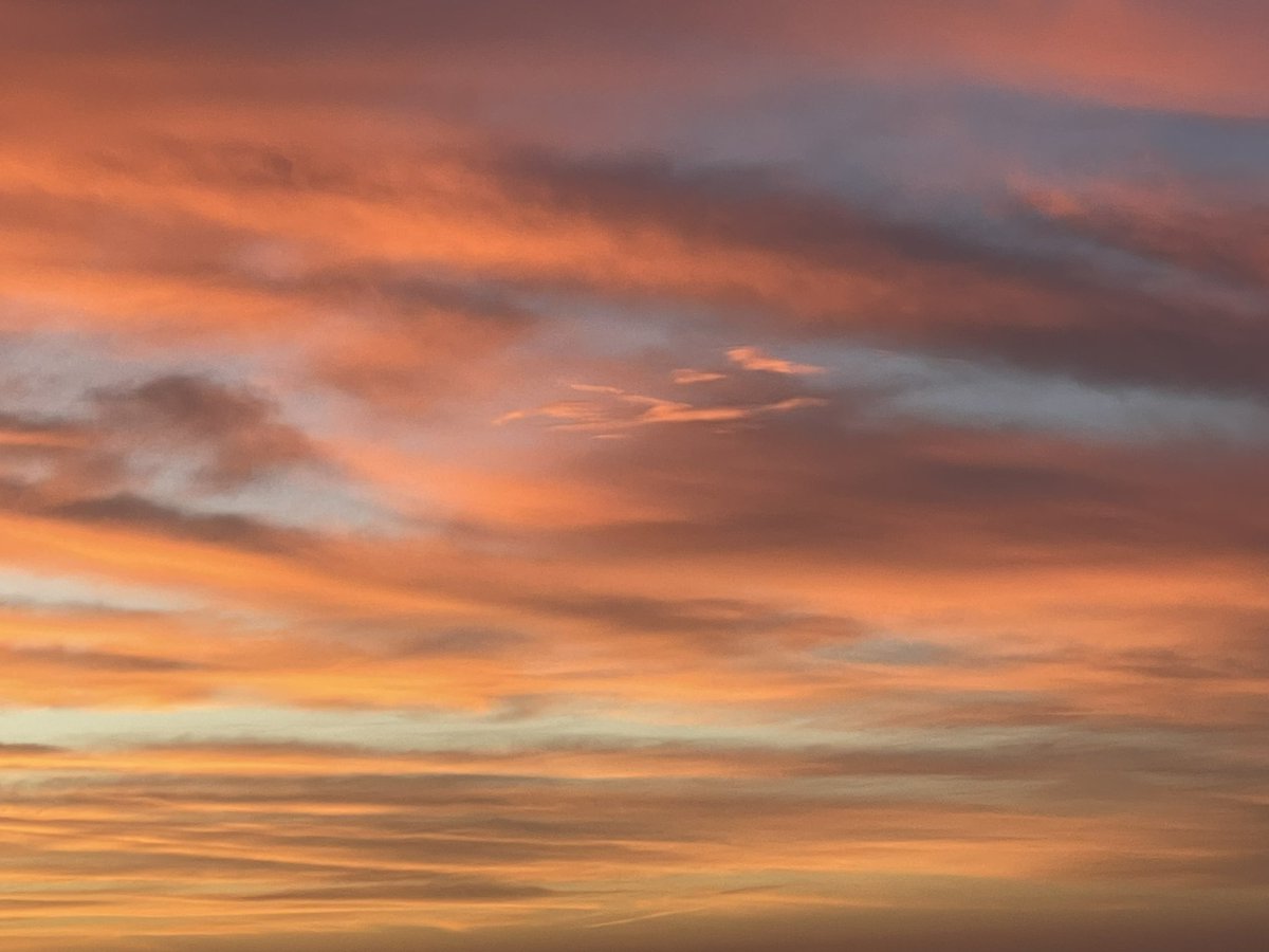 This sunrise was today’s first poem