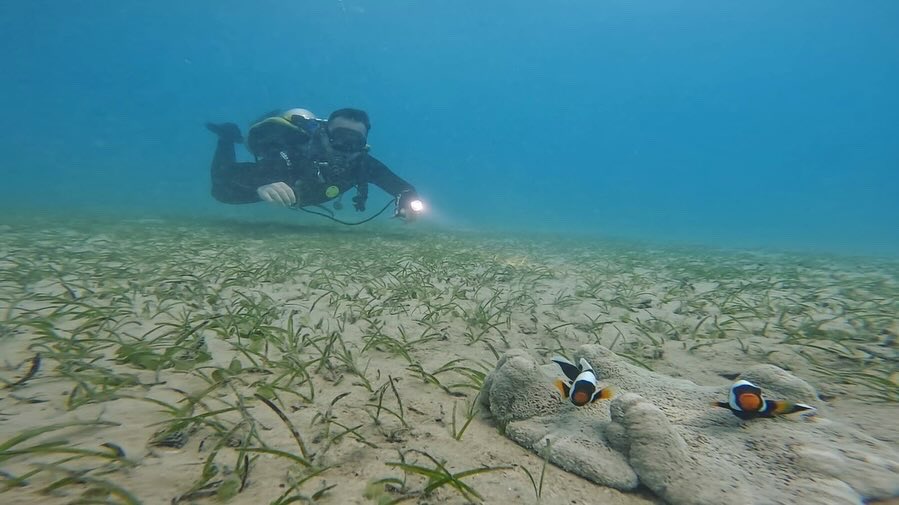 Kinkyfreak tweet media