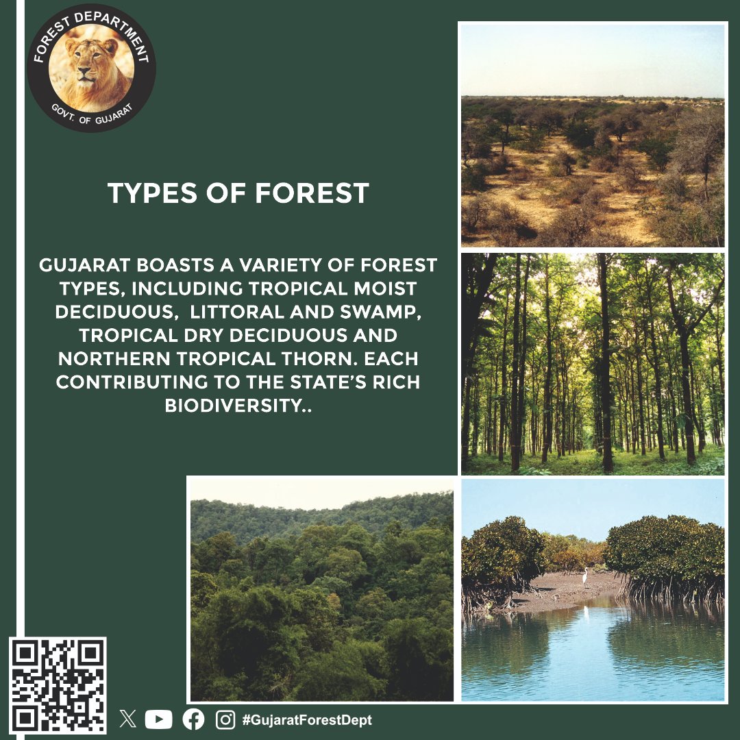 GujForestDept's tweet image. Gujarat's forests range from lush deciduous woodlands to arid thorn forests, each offering a unique haven for wildlife and a treasure trove of biodiversity.

#ForestTypes #Biodiversity #EcosystemDiversity #ForestDiversity #ProtectOurForests