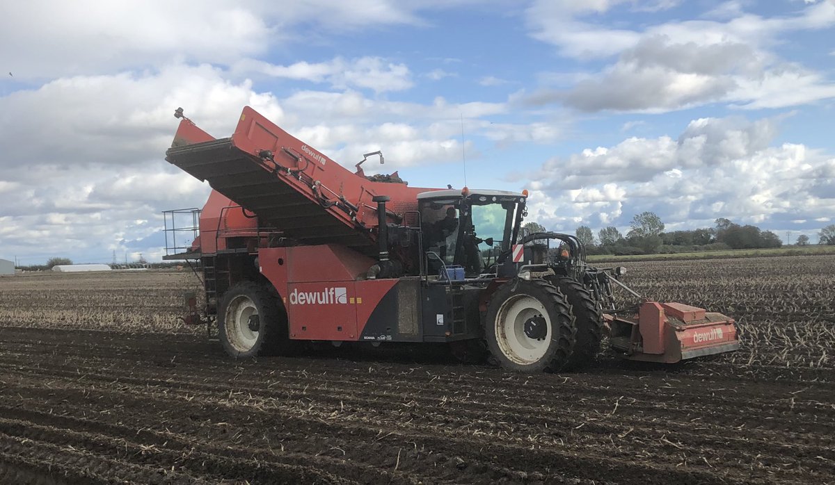 2017 Dewulf 2 row harvester for sale. Retweets appreciated