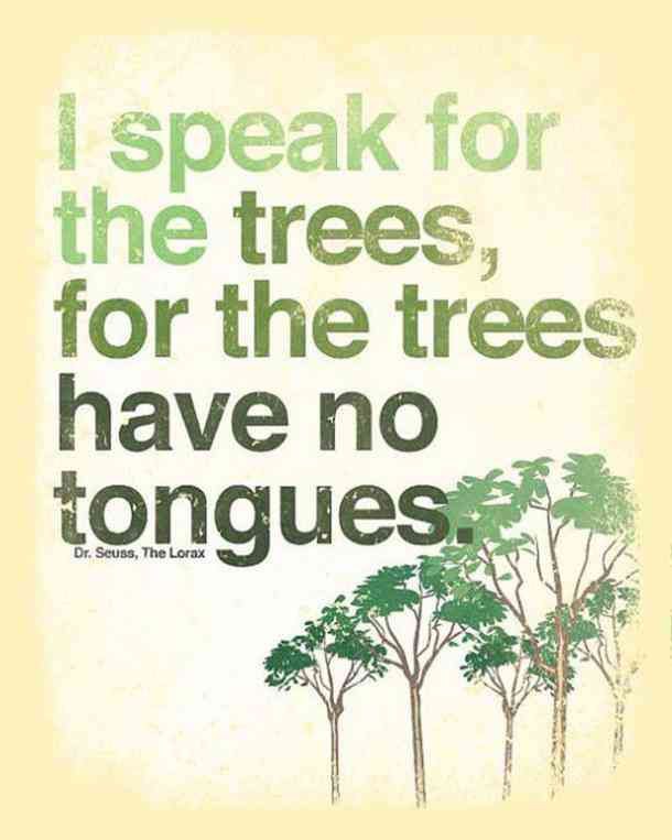 Faith000001's tweet photo. Trees have no tongues to speak but they HAVE

🌳 Power to make rain
🌳 Love to make oxygen
🌳 Patience to make food
🌳 Will to cool temps
🌳 Strength to make shelter
🌳 Energy to stop strong winds
🌳 Roots to better soils

And so much more🌳🌳🌳🌳🌳

Plant them in their millions https://t.co/lHHF77iR6S