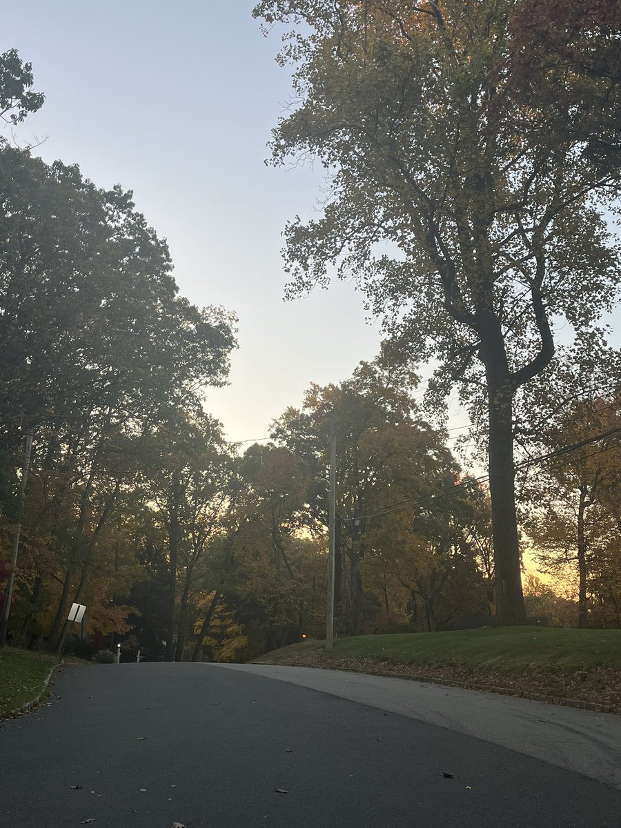 Mary Chao 趙 慶 華 tweet media