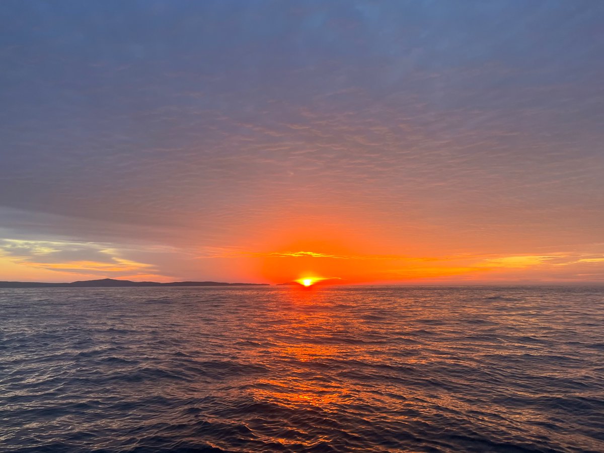 Macaulay Trollkin 🦞 tweet media