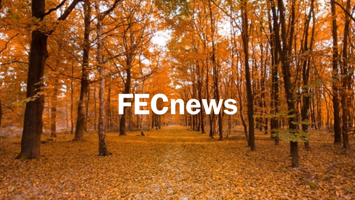 empresa_clima's tweet photo. 📰Nuevo #FECnews del mes de octubre con las novedades en #CambioClimatico y la presentación del @ProyectoEocene.

@Eurecat_news @sorigue_ @lobeliaearth

✍️Este mes con el artículo 'Descarbonizar o desaparecer', de @alicia_carrasco, CEO de @olivoENERGY.

https://t.co/ZBHtz0B0Ho https://t.co/aWgTLpDOr8