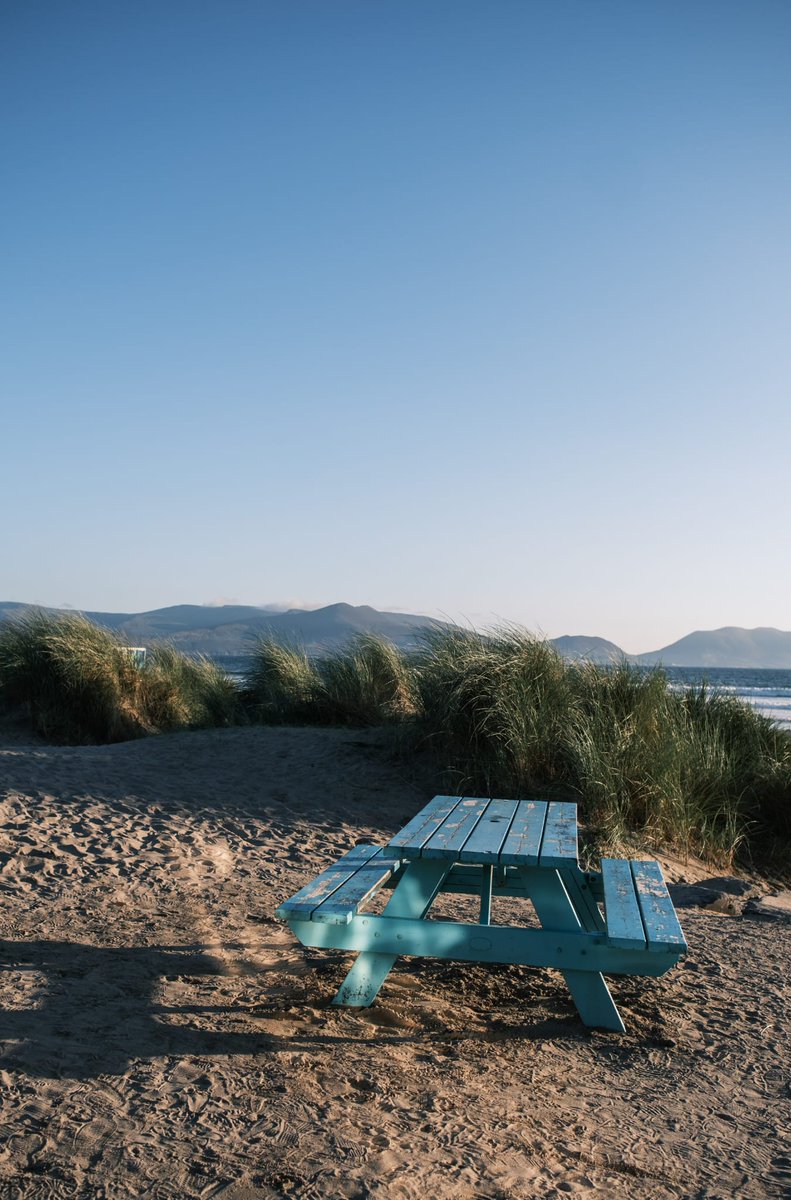 cmluttun tweet media