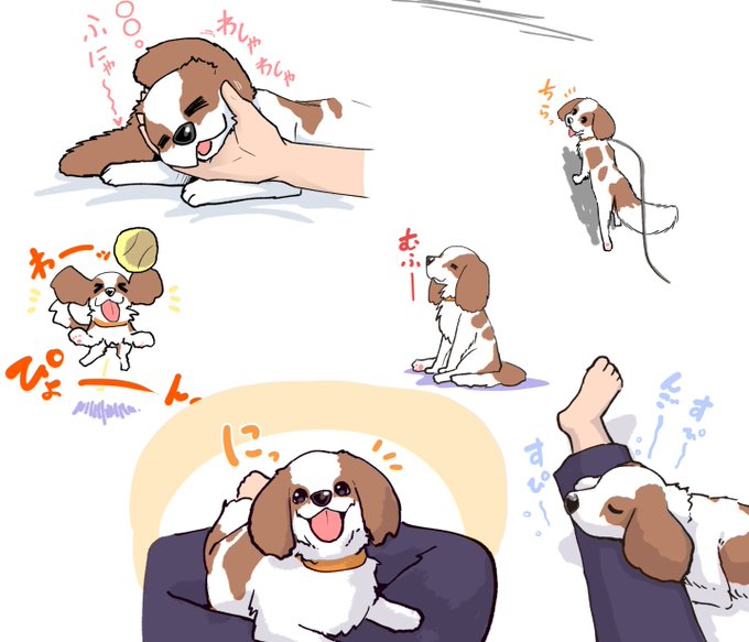 うちのわんこ詰め合わせ 