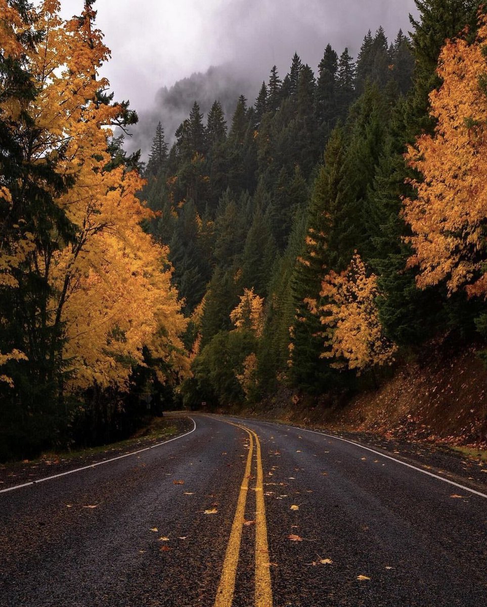 Colorado road trip 🍂
