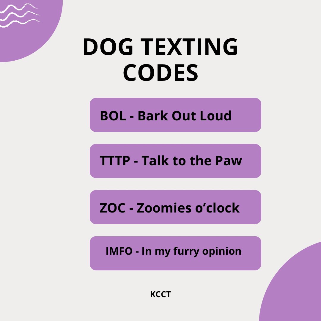 Hi Paw-parents. Just for fun! Dog texting codes uncovered 🙊🐾💜. Can you think of any more? #kcct #kccharitabletrust #dogwelfare #dogsinneed #pawparents #welovedogs #dogloversunite