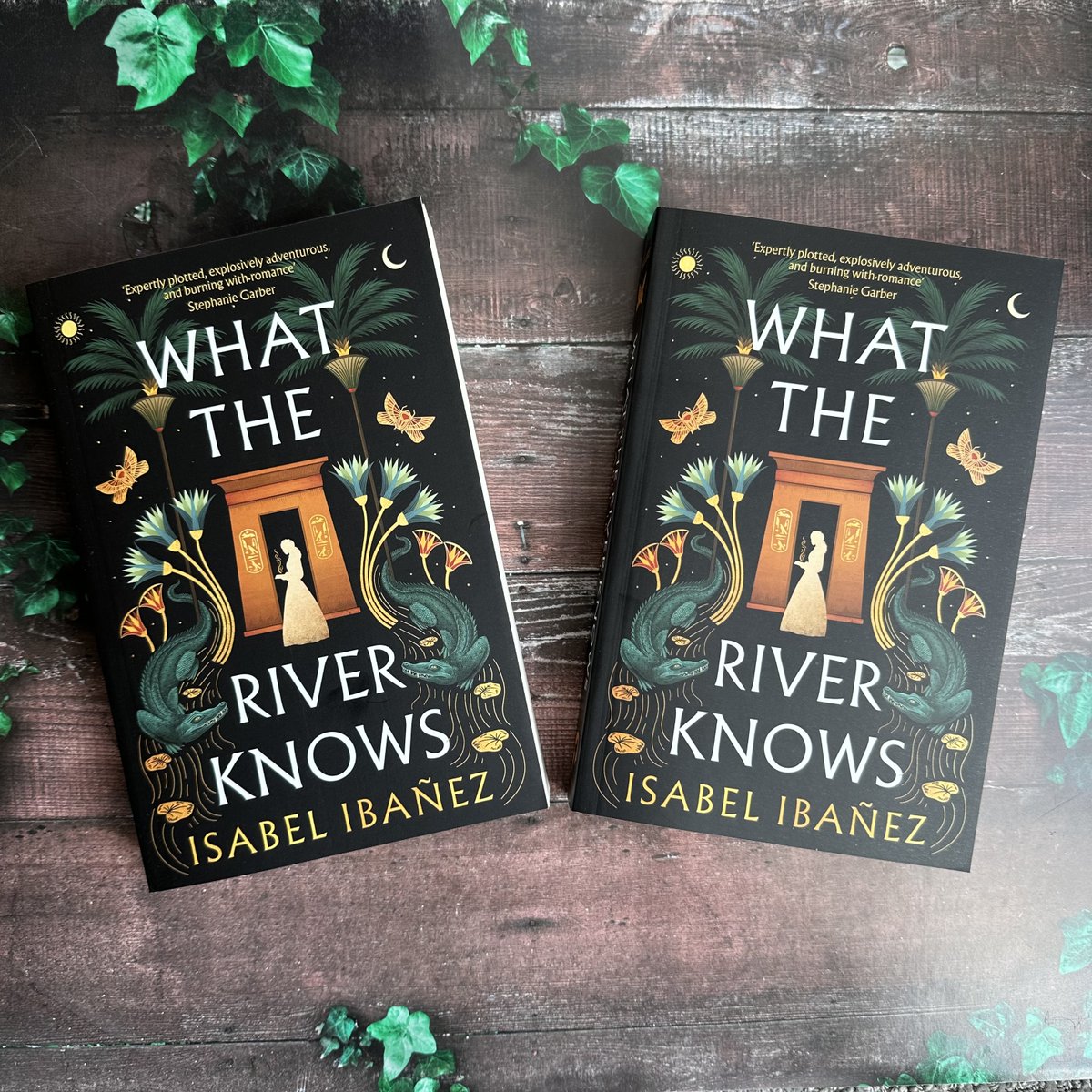 hodderscape's tweet photo. 🐊PROOF PRIZE DRAW🐊 We're giving away 2 proofs of #WhatTheRiverKnows by Isabel Ibañez. To enter reply to this post tagging a friend who you think will love the book &amp; RT to be in with a chance of winning! 
UK only, closes 11:59pm on 3/11/23, T&amp;C's apply: https://t.co/lkA0T7s3Bb https://t.co/vkoc8PIOj0